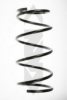 SPIDAN 56697 Coil Spring
